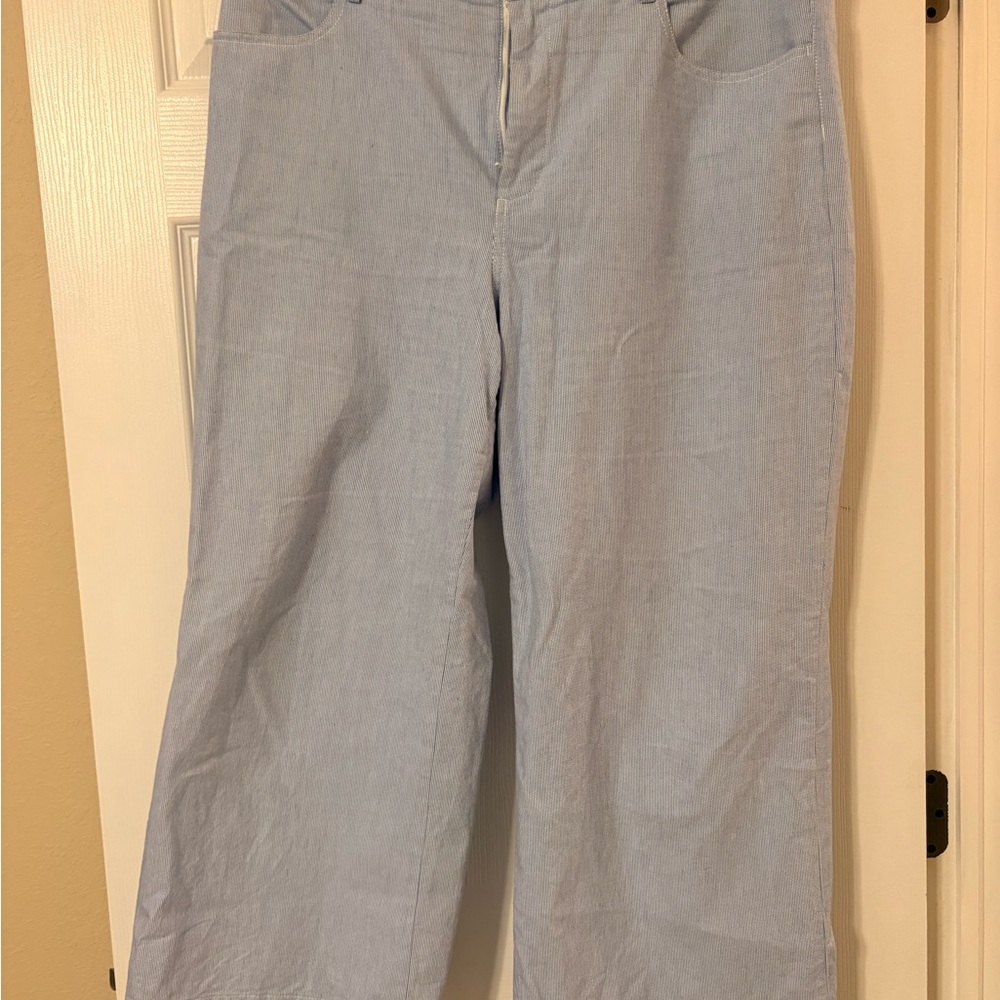 J. Crew Sky Blue Textured Pants
